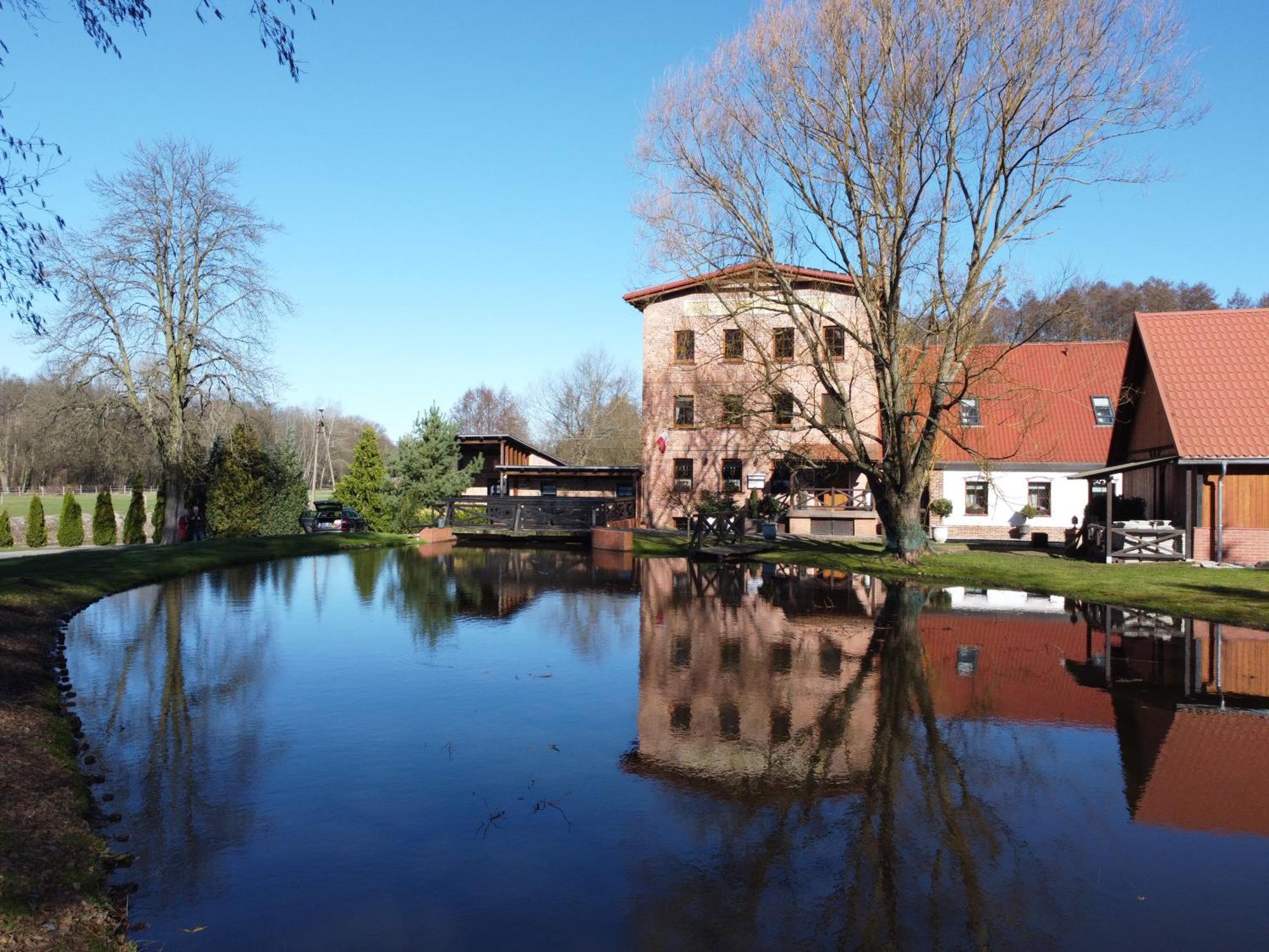 Stary Mlyn W Brzeznicy Villa Brzeznica  Eksteriør billede