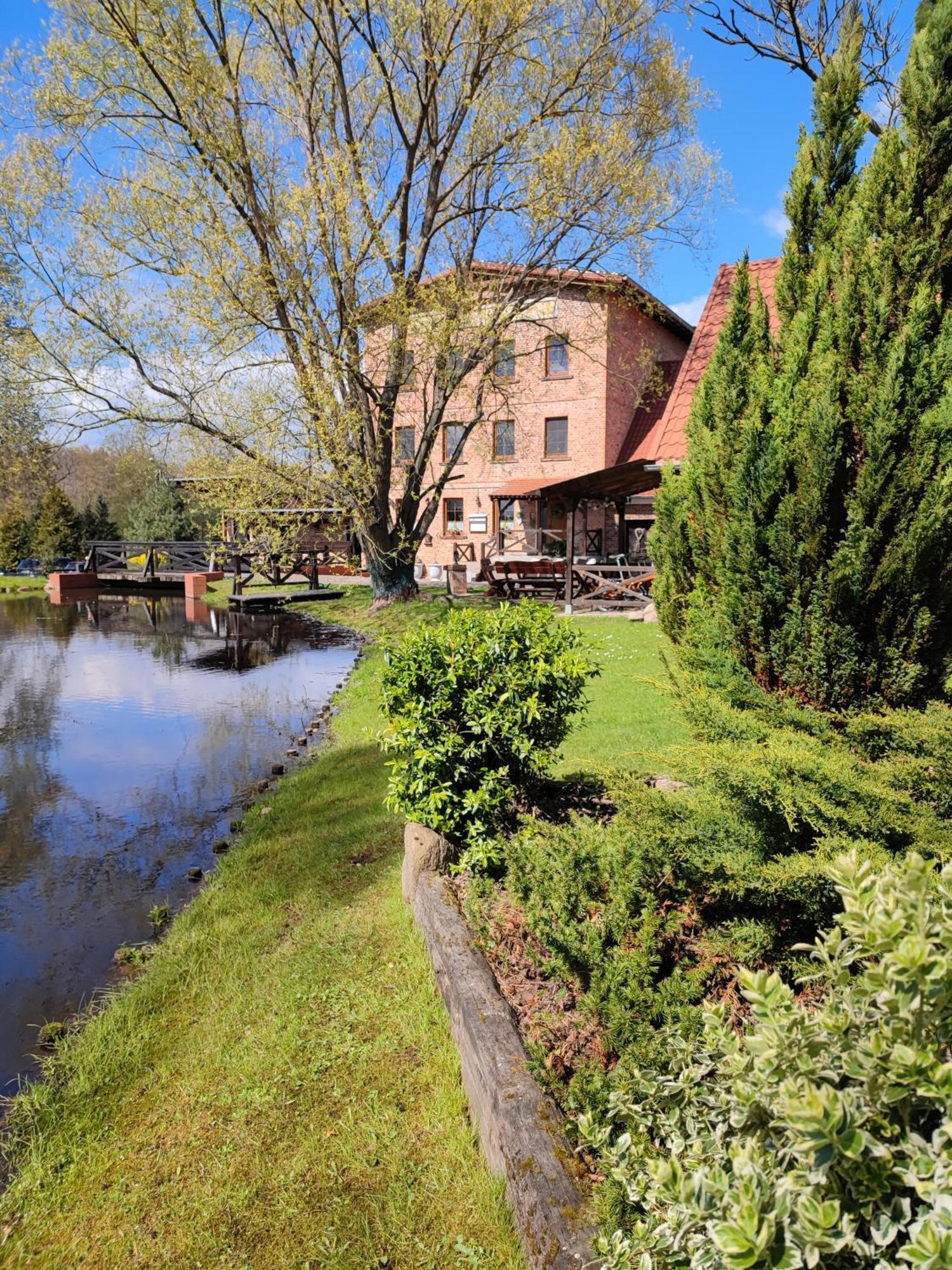 Stary Mlyn W Brzeznicy Villa Brzeznica  Eksteriør billede
