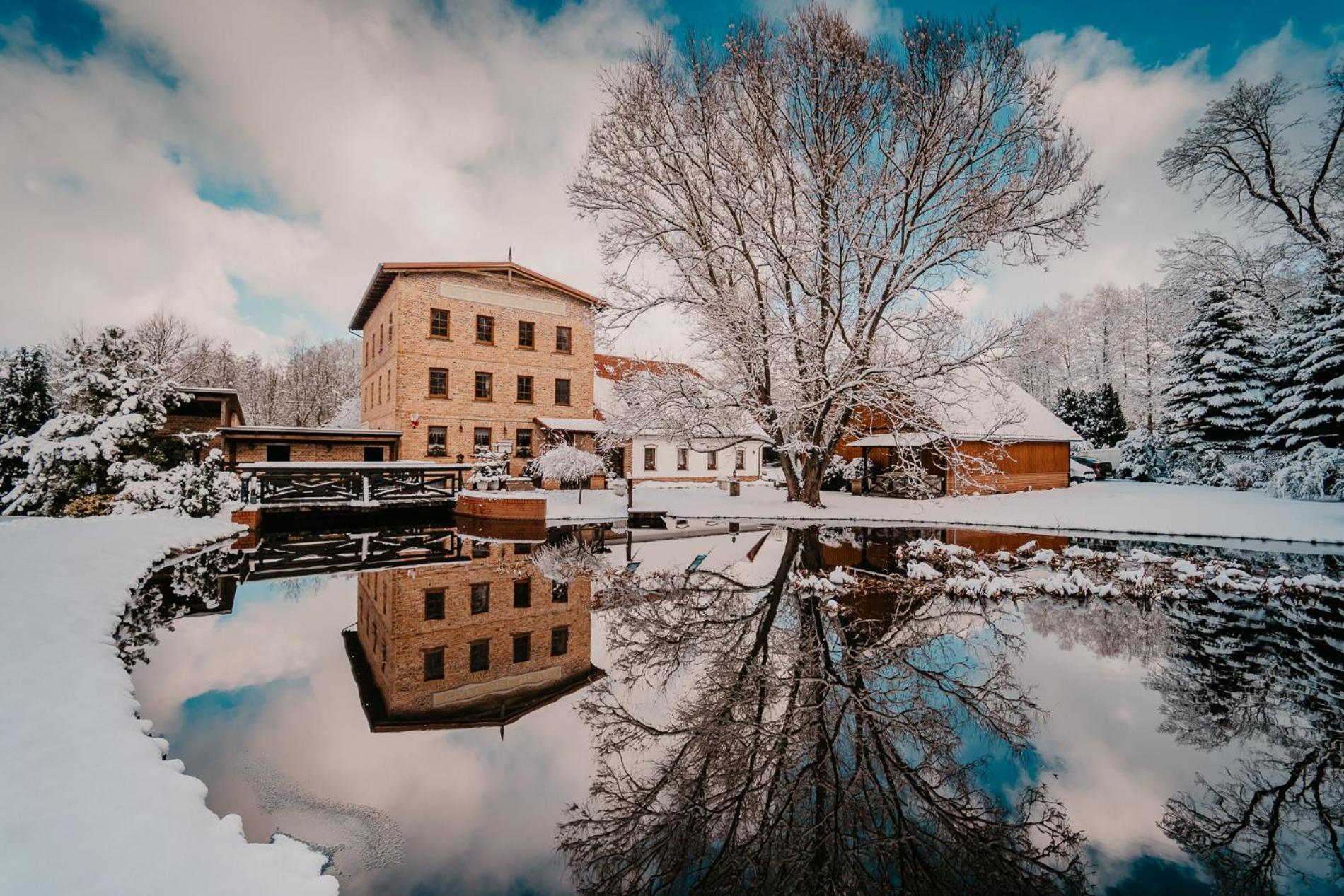 Stary Mlyn W Brzeznicy Villa Brzeznica  Eksteriør billede